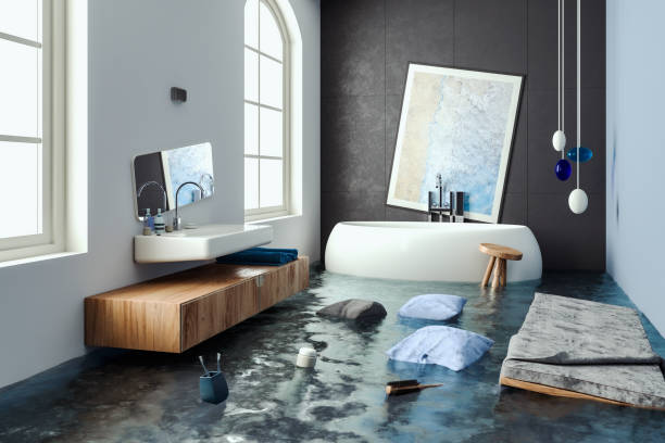 Best Water damage mitigation services  in La Nte, MO