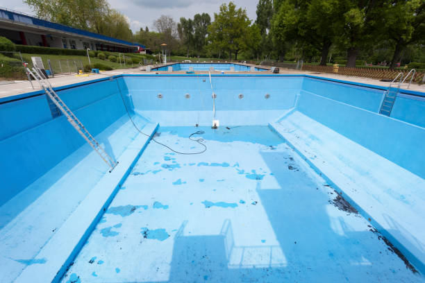 Best Basement water damage restoration  in La Nte, MO