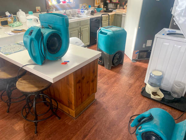 Best Emergency water damage restoration  in La Nte, MO