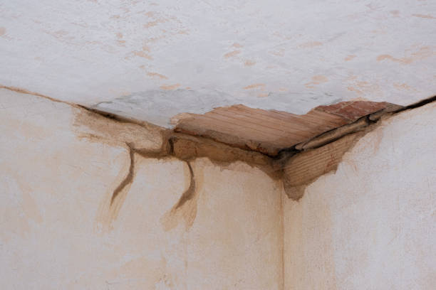 Best Flood damage cleanup  in La Nte, MO