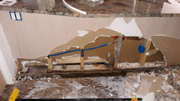 Best Local water damage restoration  in La Nte, MO