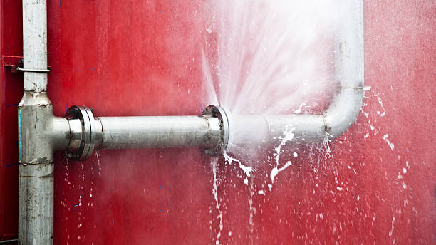 Best Mold removal after water damage  in La Nte, MO
