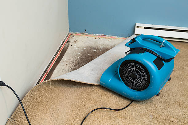 Best Residential water damage restoration  in La Nte, MO